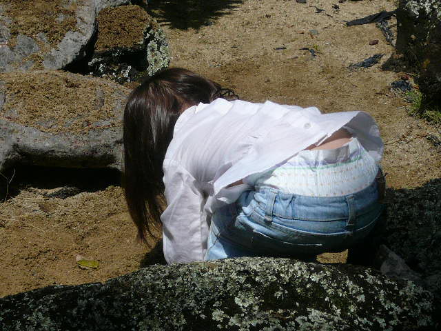 f0178525_8393569.jpg