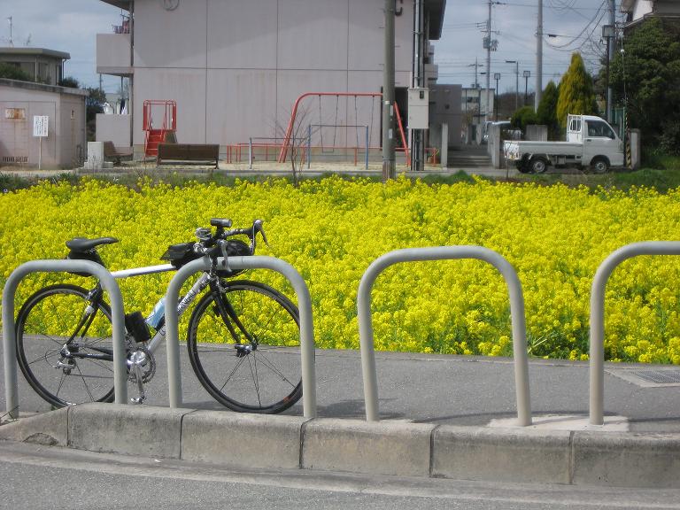 b0121029_20163311.jpg