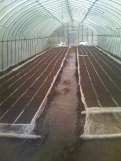 c0034029_17494681.jpg