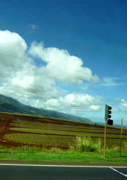 b0035734_16231667.jpg