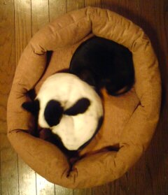 c0147035_035744.jpg