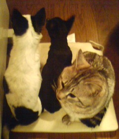 c0147035_09088.jpg