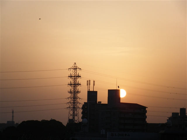 b0102639_1126479.jpg
