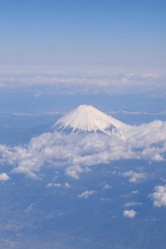 d0070243_18354359.jpg