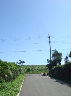 d0150644_20213492.jpg