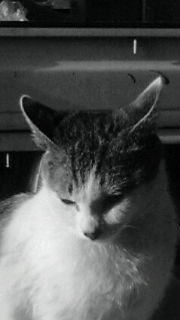 e0150849_235957100.jpg