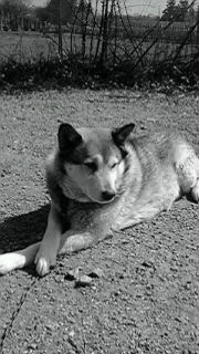 e0150849_2359578.jpg