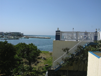 a0003150_1053494.jpg