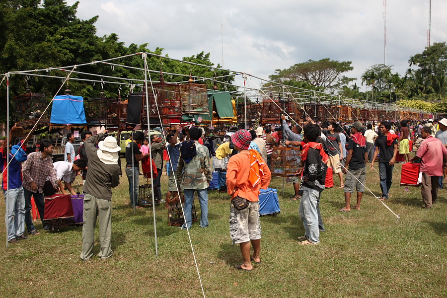 a0094850_2131149.jpg