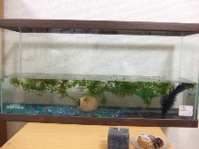 c0081552_21273631.jpg