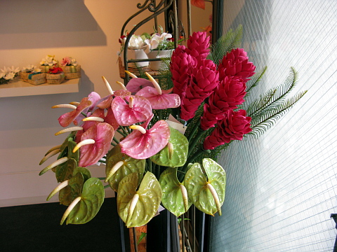 e0050753_1444315.jpg