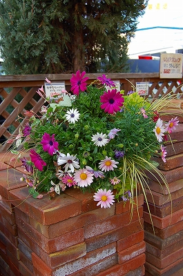 e0025655_5321939.jpg