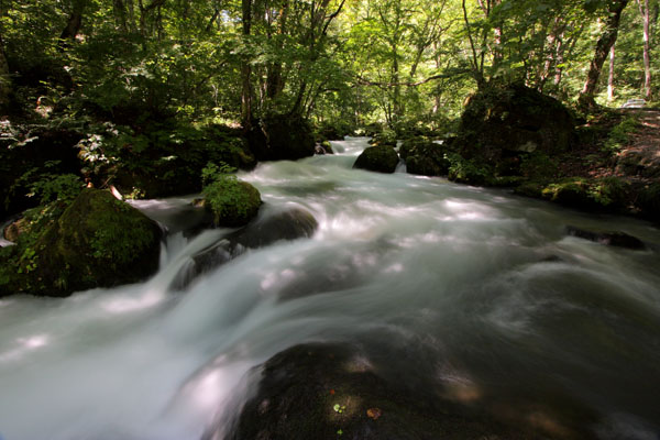 e0122855_2321795.jpg