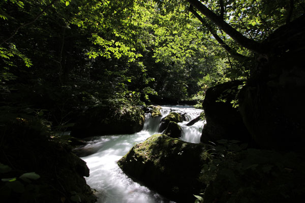 e0122855_2322463.jpg