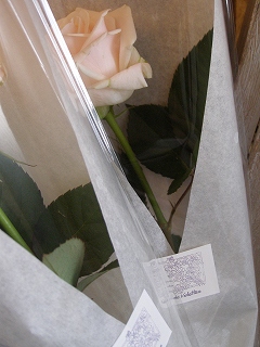 e0118257_1512276.jpg