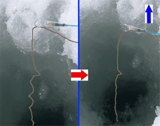 f0163063_14572081.gif