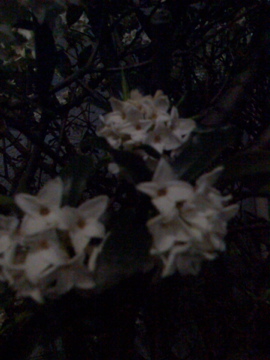 e0095468_0215844.jpg