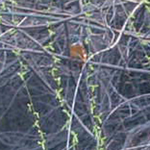 c0122670_22215998.jpg