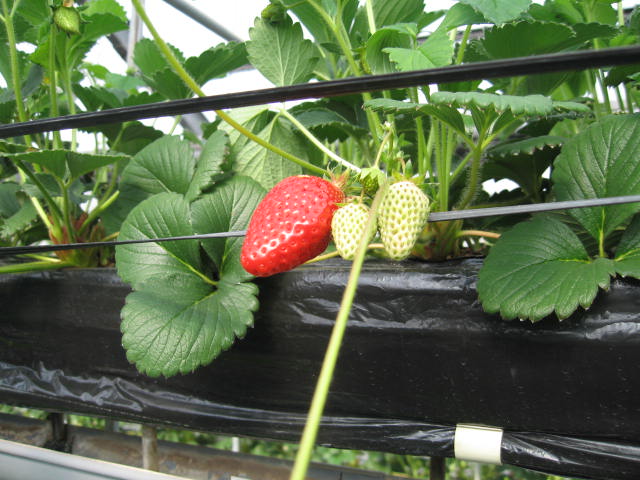f0191570_16345555.jpg