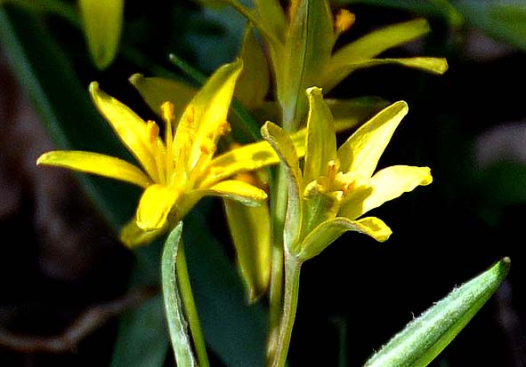 f0198771_0442462.jpg