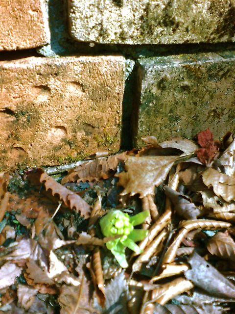 c0082573_22153474.jpg