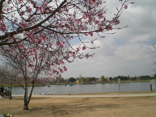 c0187677_615116.jpg