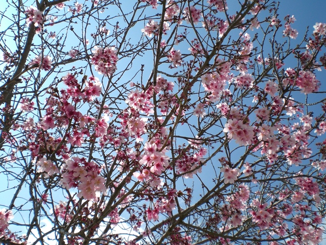 c0187677_6174089.jpg