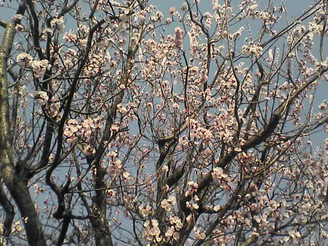 c0069380_17512875.jpg