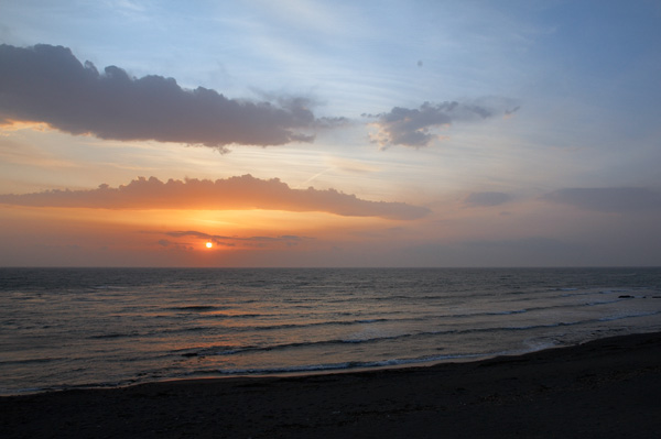 d0089281_1021419.jpg