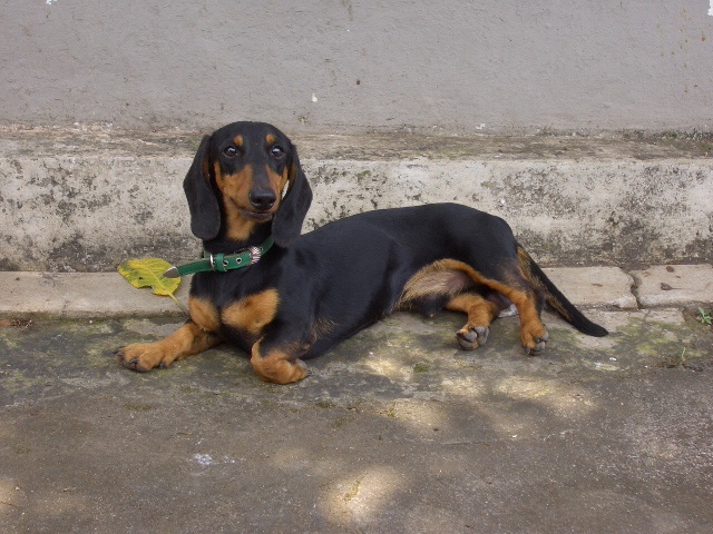 c0175883_171843.jpg