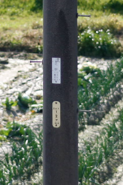 f0121786_1653537.jpg