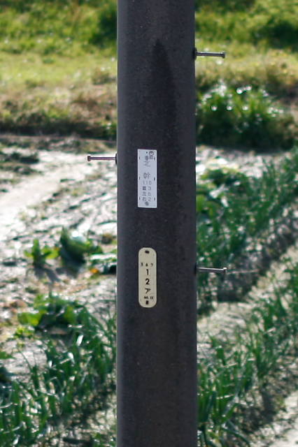 f0121786_1685128.jpg