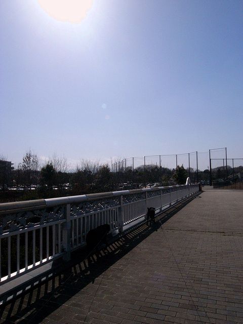 a0093592_012195.jpg