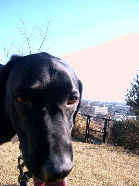 a0093592_0394828.jpg