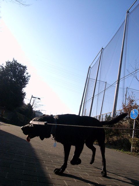 a0093592_0482586.jpg