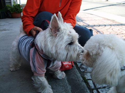 b0104592_1335687.jpg