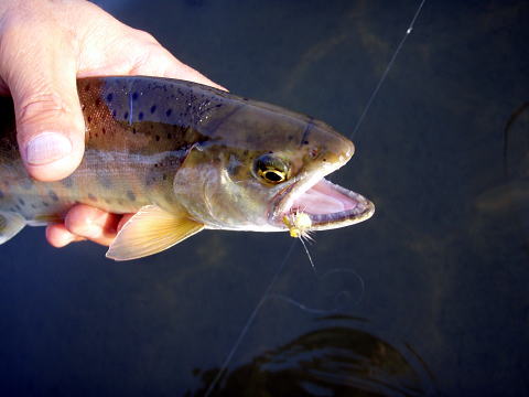 f0141392_22505018.jpg