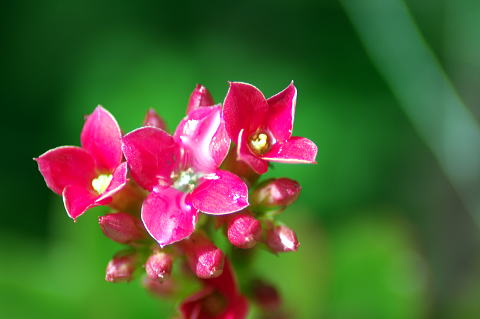 f0141392_22514957.jpg