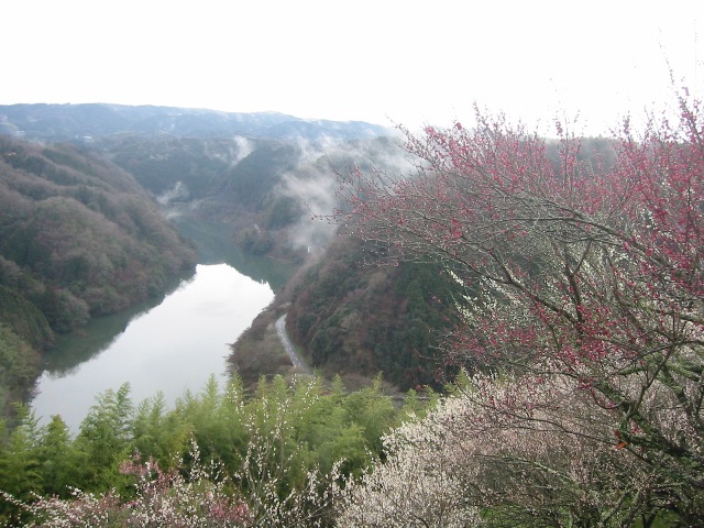 d0151694_192420100.jpg
