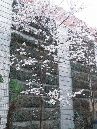 e0160595_23341439.jpg