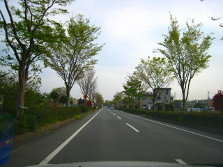 d0121300_011146.jpg