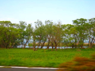 d0121300_012657.jpg