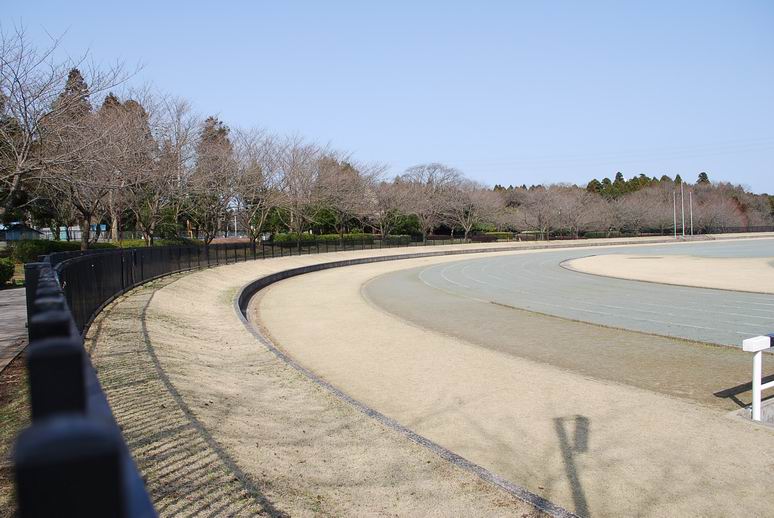 e0025300_16294976.jpg