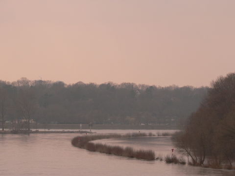 a0056401_7562381.jpg