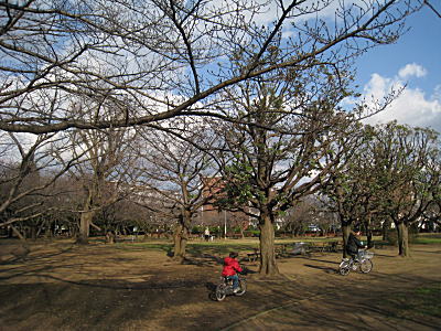 d0046702_18134325.jpg