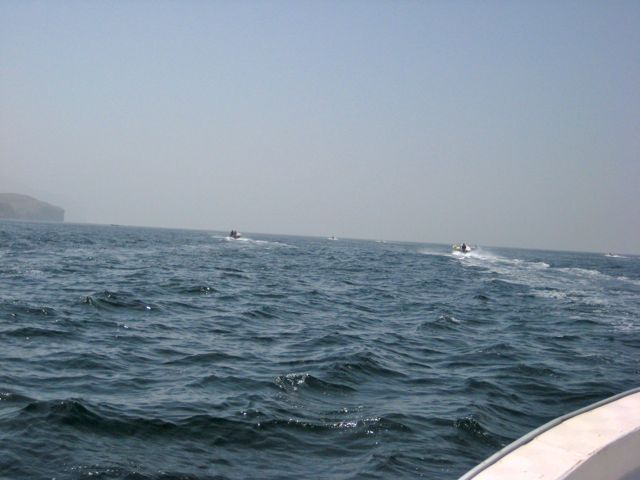 b0142203_2238786.jpg