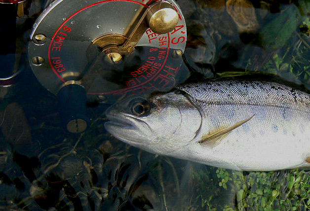 f0164503_073814.jpg