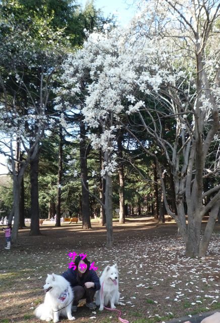 e0018604_742131.jpg