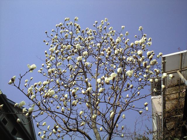 d0000607_1254313.jpg