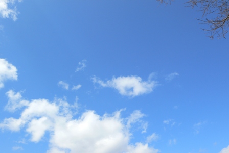 f0167007_1731365.jpg